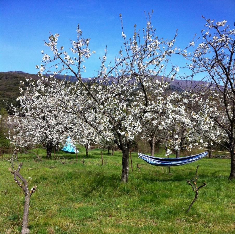 Bed and Breakfast Le Moulin D'Arcas. Premian Экстерьер фото